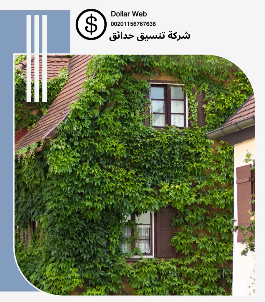 تنسيق حدائق داخل الكويت