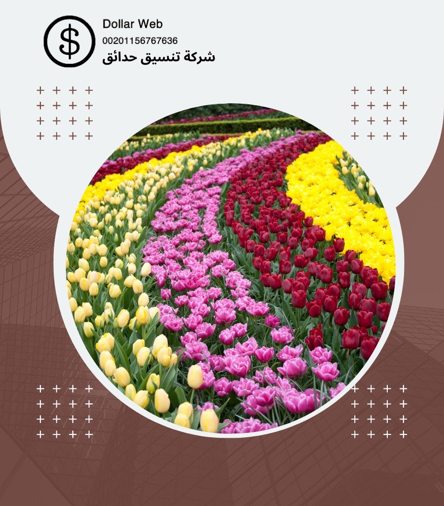 تنسيق حدائق السلام بالكويت